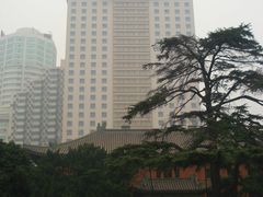 钟山宾馆-南京钟山宾馆(江苏省会议中心)