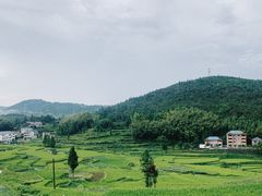 -泽雅七瀑涧景区