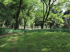-杭州植物园