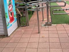 -富斯特索道