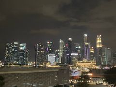 -新加坡文华东方酒店