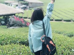 -优游吧斯邹族文化部落