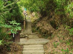 -南海湾森林生态园