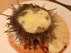 海胆蒸蛋-海味当家(西安路店)