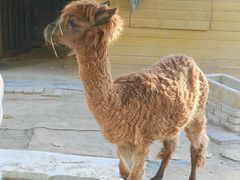 -北京市海淀外国语实验学校