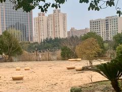 -黄兴公园