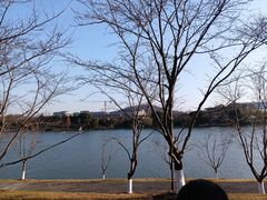 -羊山湖公园