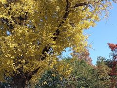 -狼山风景名胜区