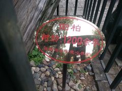 -南阳卧龙岗武侯祠