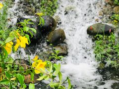 -厦门园林博览苑