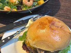 -bluefrog蓝蛙(石家庄欢乐汇店)