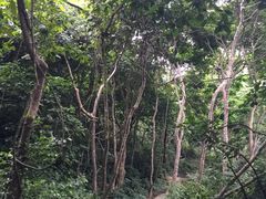 iphone_upload_pic-广西龙虎山风景区