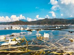 -丽江泸沽湖景区