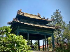 -泰山风景名胜区