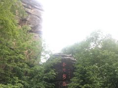 -汤旺河林海奇石景区