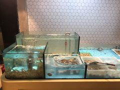 水产区-日进一片海.生腌海鲜火锅.宵夜烧烤(三里屯总店)