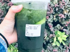 原谅柠檬绿-林香柠·柠檬茶