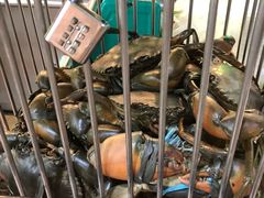-纽顿熟食中心