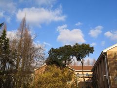 -华东理工大学徐汇校区-图书馆