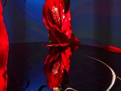 -交通银行前滩31演艺中心