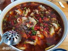 鲜椒清波-尽膳·鱼鲜川菜(宽窄巷子店)