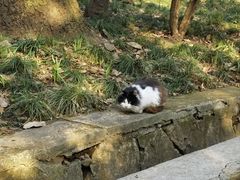 -灵谷景区
