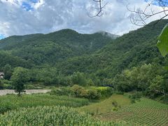 -秦岭风景区
