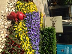 iphone_upload_pic-西点坊(浦东香格里拉店)