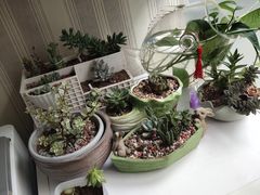 -赵军口腔(唐山街店)