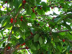 -碓臼峪自然风景区