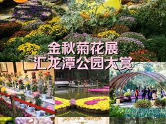 -汇龙潭