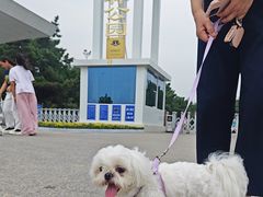 -日照海滨国家森林公园