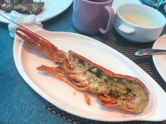 -瑞德姆美人鱼海底演艺主题餐厅(亚龙湾店)