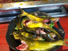 -二荆条·蜀鲜汇城市森林火锅