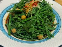 清炒南瓜尖儿-巴依老爷新疆美食(常营店)