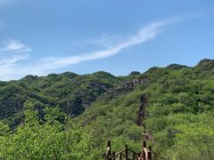 -大岭沟猕猴桃谷风景区