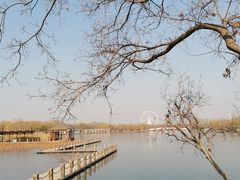 -石家庄市植物园