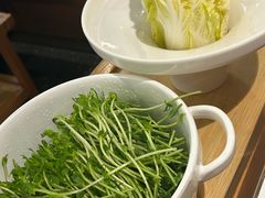 -烹然四季椰子鸡火锅(姚家园万象汇店)