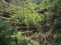 -石棉县孟获城