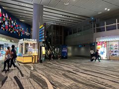 -樟宜机场免税店