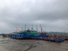 -花岙岛