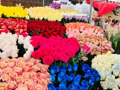 -越秀西湖花市(广州城市广场花卉店)