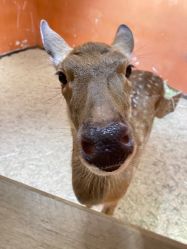 点击看大图 -Zoolung Zoolung动物主题公园(海信广场店)