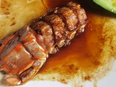 -新锦鸿(演达店)