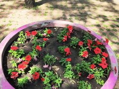 -黑龙江省森林植物园