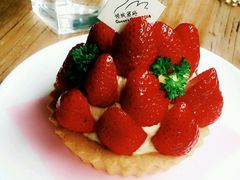 -倾城密码(大唐店)