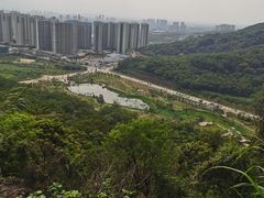 -金山植物公园