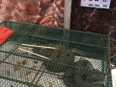 -森谷美食公园(杨行店)