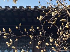 -耦园