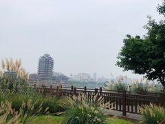 -眉山湿地公园(东坡区)